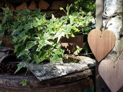 Ferienwohnung für 3 Personen (36 m²) in Pichl 5/10