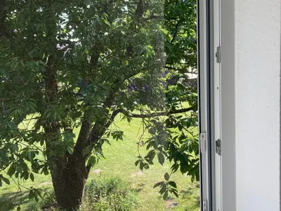 Fenster mit Fliegengitter