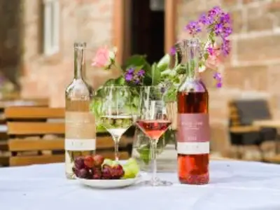 Ferienwohnung für 7 Personen (120 m²) in Vitzenburg 4/10