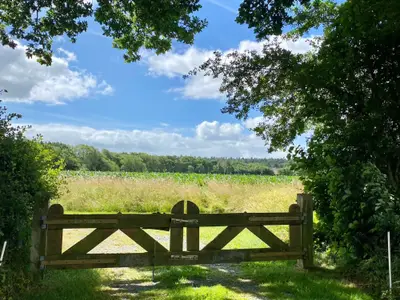 8e7f09da-638f-443a-9993-9e6b8768d5de2