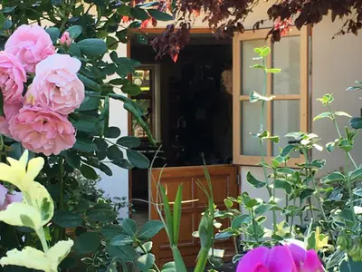 Willkommen im Nest für Zwei