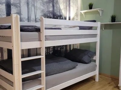 Ferienwohnung für 4 Personen (64 m²) in Freudenstadt 7/10
