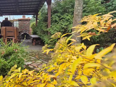outside