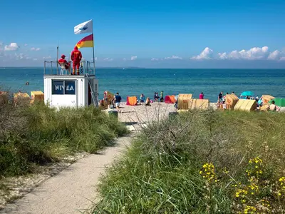 Strand