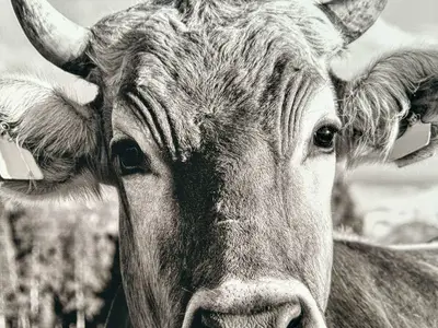 Ferienwohnung für 2 Personen (86 m²) in Schönau am Königssee 5/10