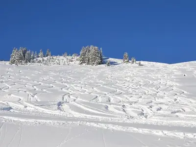 Ferienwohnung für 3 Personen (20 m²) in Damüls 8/10