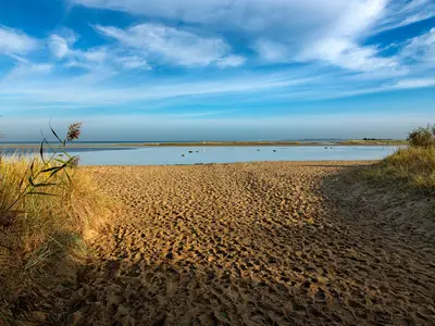Strand