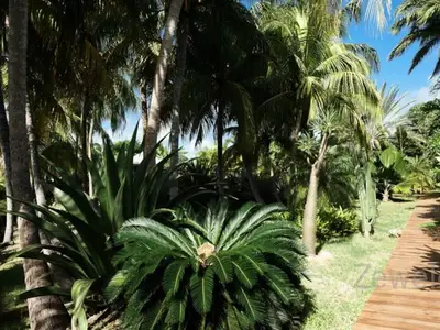 Ferienwohnung für 7 Personen (59 m²) 2/10