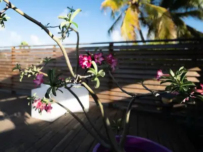 Ferienwohnung für 5 Personen (70 m²) 7/10