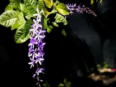 Ferienwohnung für 7 Personen (100 m²) 9/10
