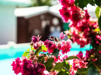 Ferienwohnung für 7 Personen (150 m²) 5/10