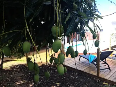 Ferienwohnung für 7 Personen (150 m²) 8/10