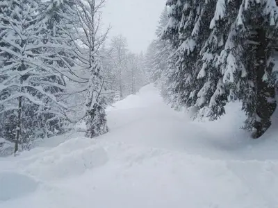 Ferienwohnung für 4 Personen (90 m²) in Saulgrub 6/10