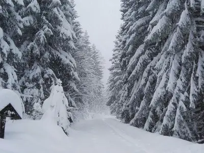 Ferienwohnung für 4 Personen (90 m²) in Saulgrub 8/10