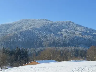 Ferienwohnung für 4 Personen (90 m²) in Saulgrub 10/10