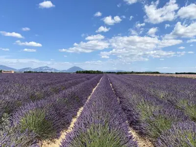 Ferienwohnung für 8 Personen (80 m²) in Brunet 3/10