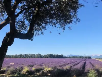 Ferienwohnung für 8 Personen (80 m²) in Brunet 8/10