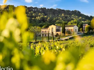 Ferienwohnung für 11 Personen (260 m²) in Le Puy-Sainte-Réparade 2/10