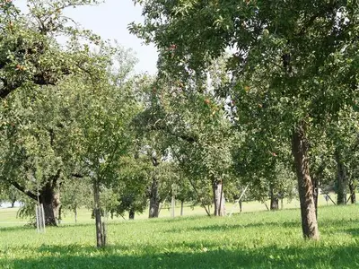 Ferienwohnung für 5 Personen (65 m²) in Regnitz 3/10
