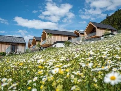 Ferienwohnung für 2 Personen (40 m²) in Weißensee 3/10
