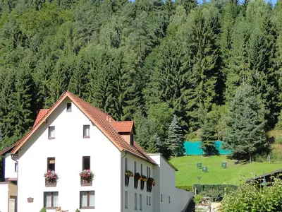 Ferienwohnung für 4 Personen (52 m²) in Rohrbach 2/10