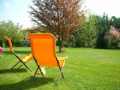 Garten, Park