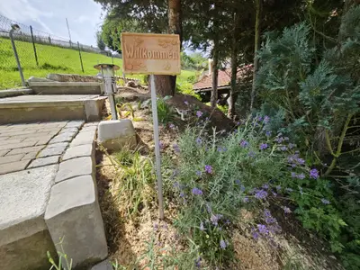 Deatil Treppe Eingang