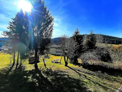 GardenSummer