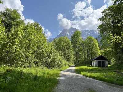 Hütte im Wald