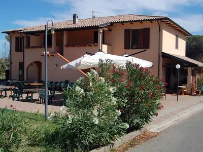 Ferienwohnung für 4 Personen (45 m²) in Suvereto 7/10