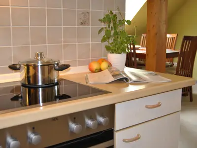 Ferienwohnung für 4 Personen (65 m²) in Giddendorf 5/10