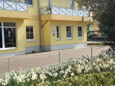 Ferienwohnung für 4 Personen (70 m²) in Zingst 10/10