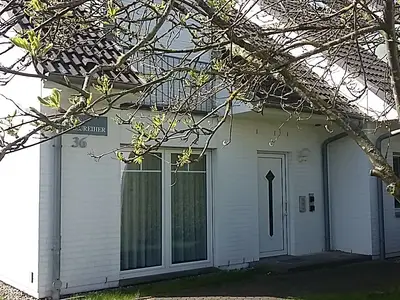 Ferienwohnung für 4 Personen (55 m²) in Zingst 1/10