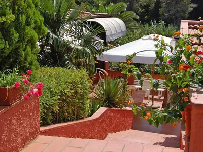 GardenSummer