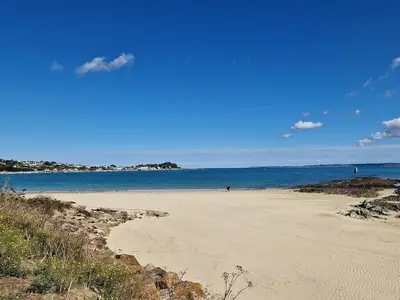 ViewSummer