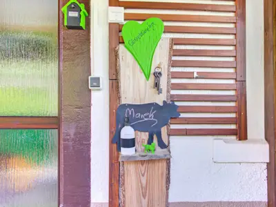 Separater Eingang Gänseblümchen