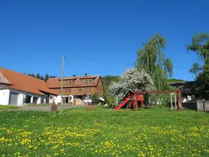 Ferienwohnung für 3 Personen (42 m²) in Ehrenberg (Hessen)