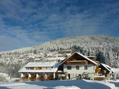 Ferienwohnung für 2 Personen (54 m²) in Baiersbronn 2/10