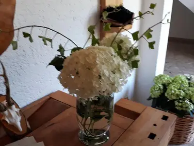 Ferienwohnung für 2 Personen (54 m²) in Baiersbronn 7/10