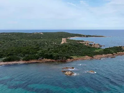 Ferienwohnung für 3 Personen (30 m²) in Baja Sardinia 6/9