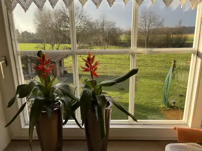 Küchenfenster Werseblick
