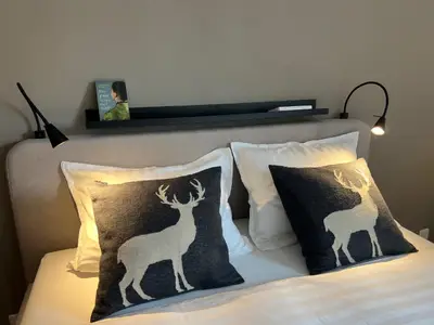 Schlafzimmer 1 mit Ablage und Leselampen