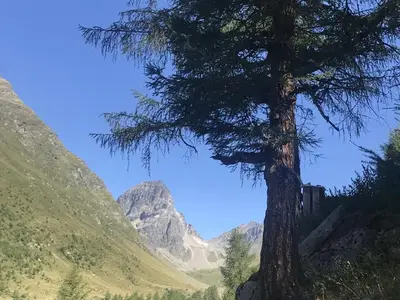Piz Buin