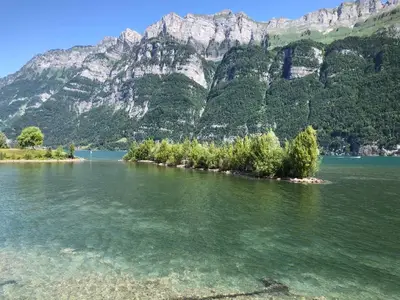 Bild 78