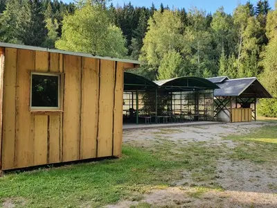 Ferienwohnung für 6 Personen (46 m²) in Manebach 10/10