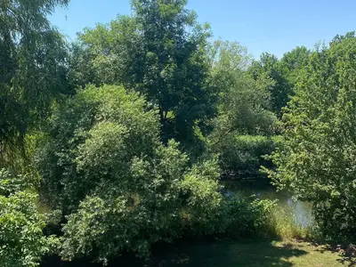 Ausblick