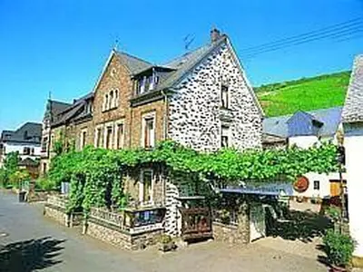 Weingut-Winzerhof Schneiders
