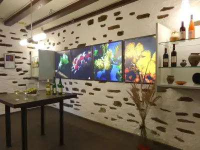 Lust auf eine Weinprobe ?