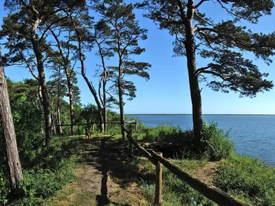 AreaSummer5KM