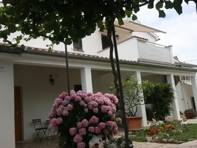 Ferienwohnung für 4 Personen (69 m²) in Vranići 5/10